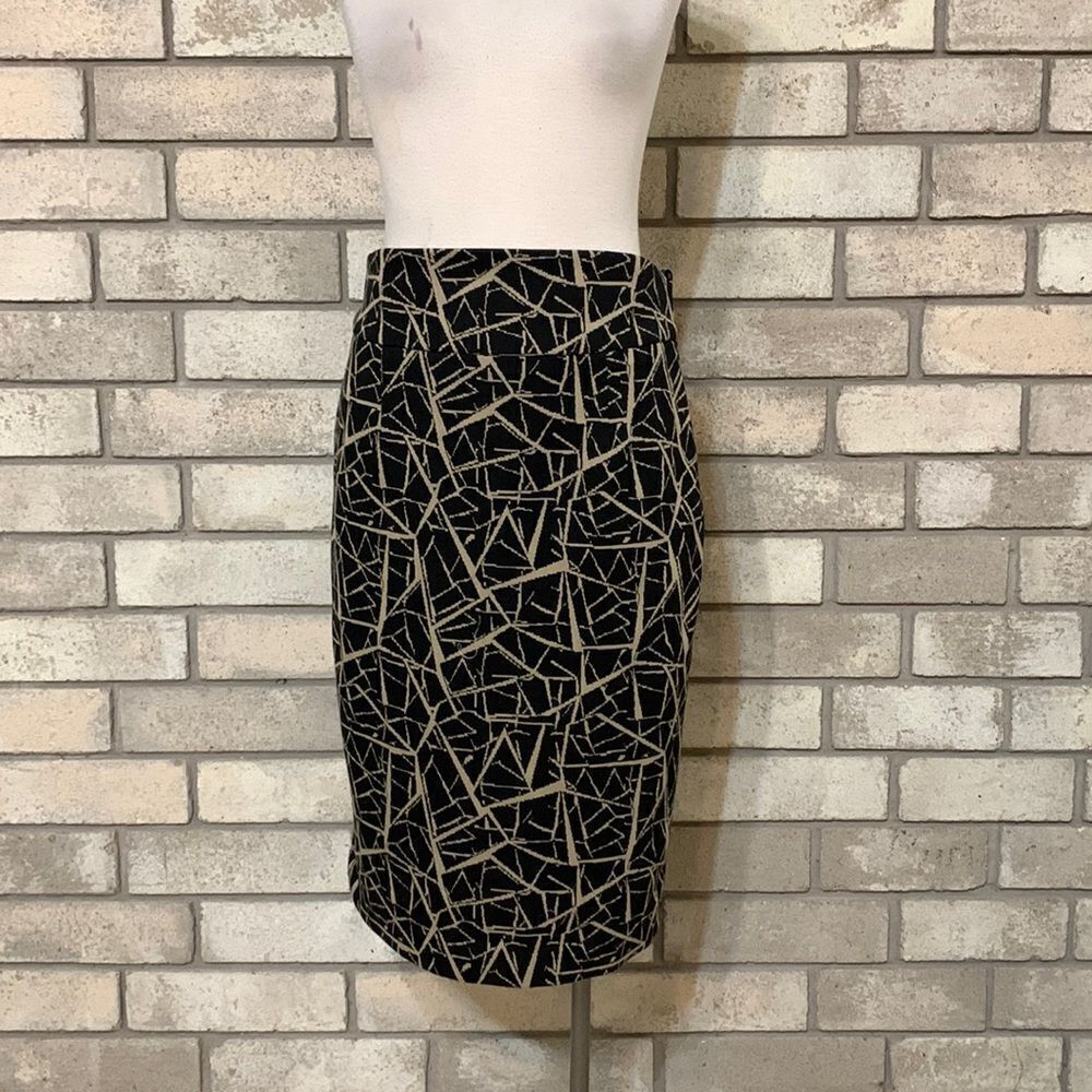 3for$20 skirt midi 6
